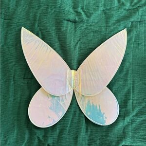 Iridescent Butterfly Wings